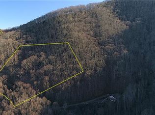 9999 Poplar Cove Rd, Clyde, NC 28721