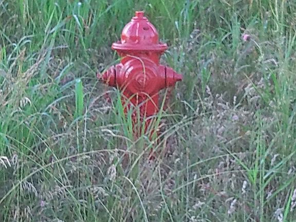 4th image of 0 Collins Run Lot 51 & 52