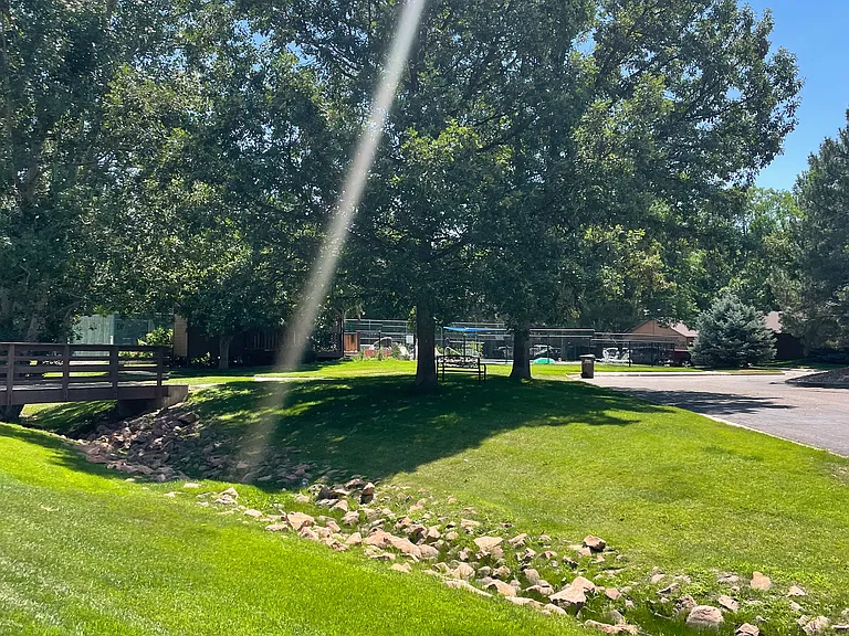 Creek alongside property
