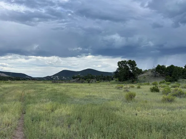 State Highway 603 Rd, Quemado, NM 87829