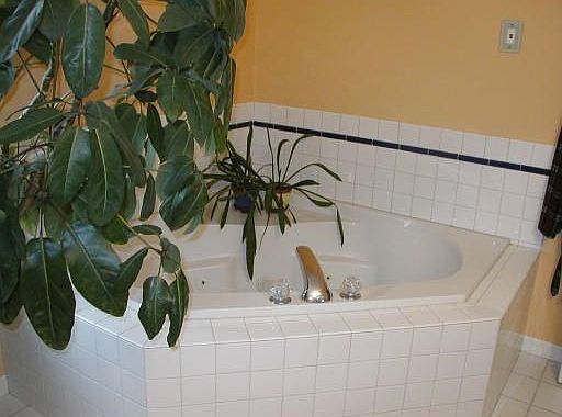 Sumptuous bath!