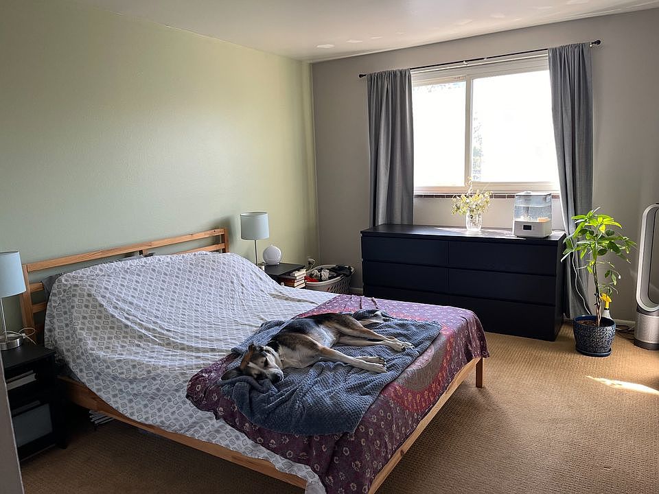 Bedroom with west-facing windows. Dog not included!