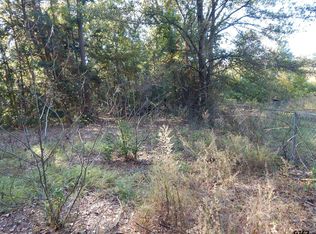 Johnson Road Chinaberry, Gilmer, TX 75645