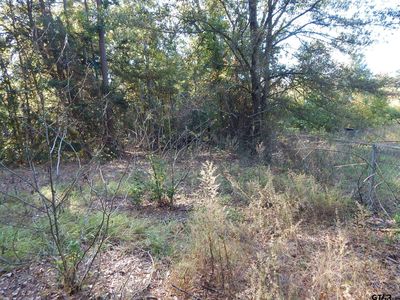 Johnson Road Chinaberry, Gilmer, TX, 75645