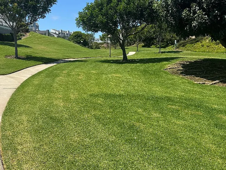 33531 Seawind Ct — Photo 22