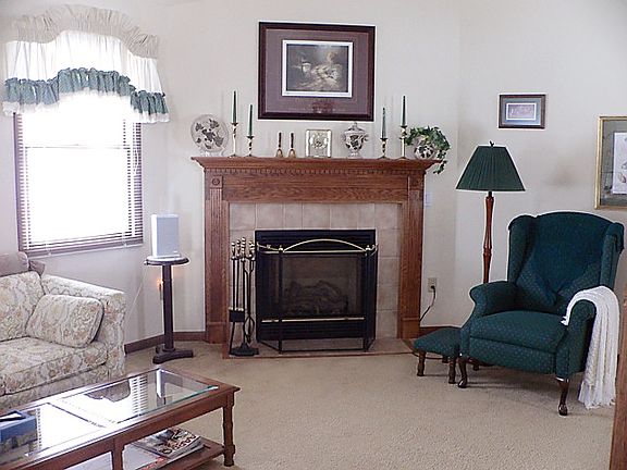 gas fireplace