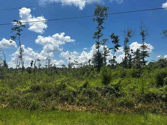 4th image of 0 Piney Point Ln