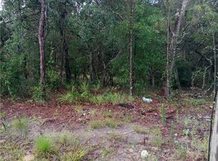3729 N Tyrone Ave, Hernando, FL 34442