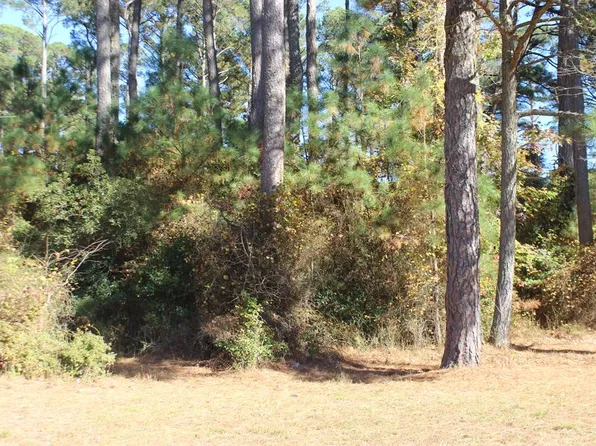 1140 Scimitar Way #1140, Greenbackville, VA 23356