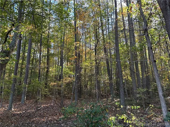 0 Mount Prospect Rd, Laneview, VA 22504