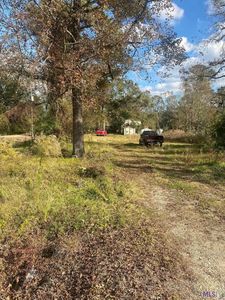 18376 Leo Causey Rd, Prairieville, LA, 70769