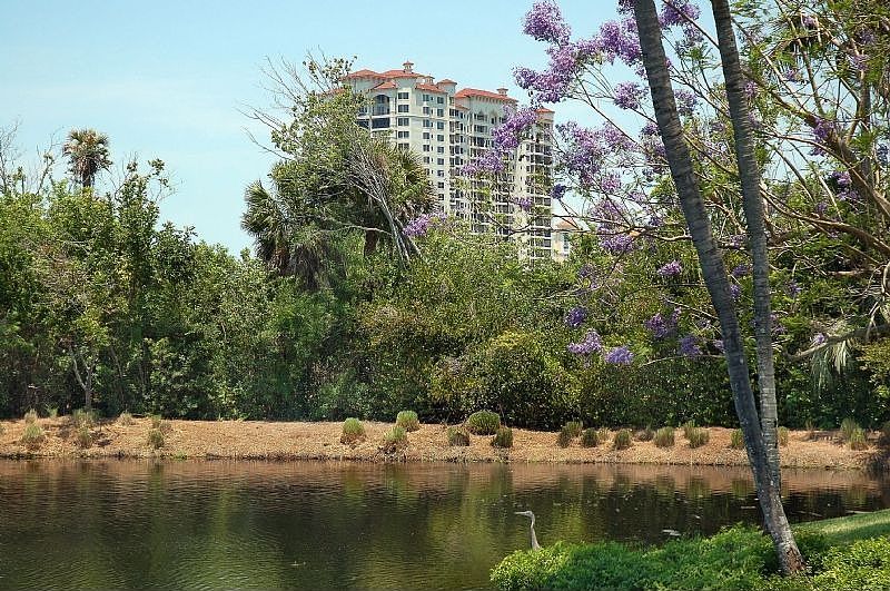 1st image of 8787 Bay Colony Dr APT 504