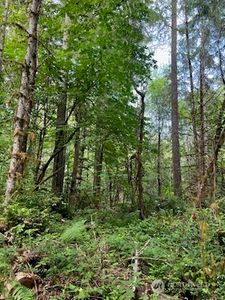 0 Lot C Orchard Avenue SE, Olalla, WA, 98359