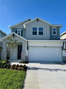 28932 Orange Berry Dr, Wesley Chapel, FL, 33543