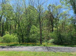 Lone Ash Rd, Barren Springs, VA 24313