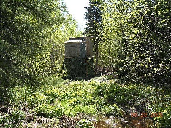 4th image of 9468 Dinky Line Rd.