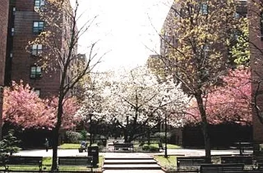 Sold by Akam Sales and Brokerage