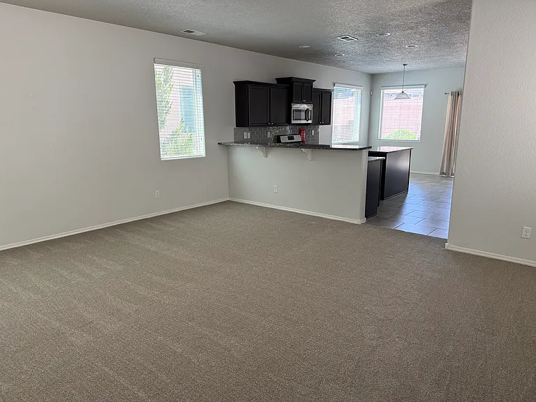 Living Room/Kitchen
