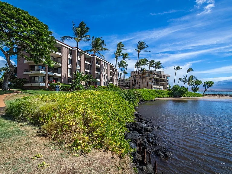 30 Hauoli St #204 — Photo 19