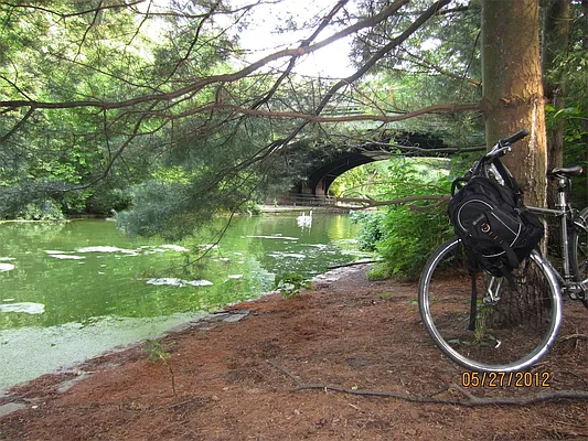 Rented by Space Real Estate | media 16