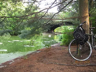 Rented by Space Real Estate