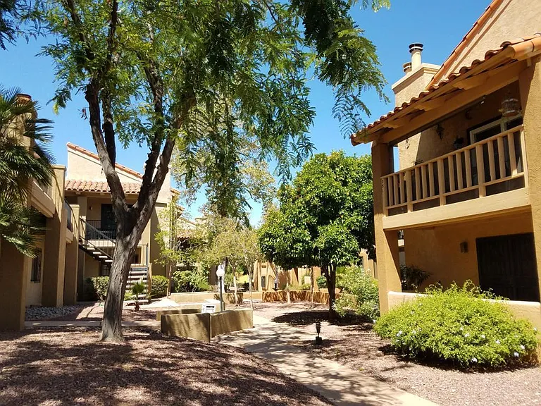 8255 N Oracle Rd #210 — Photo 3
