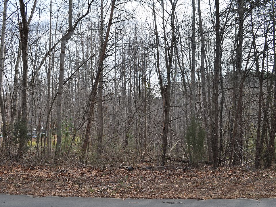 2nd image of Shaftesbury Ln