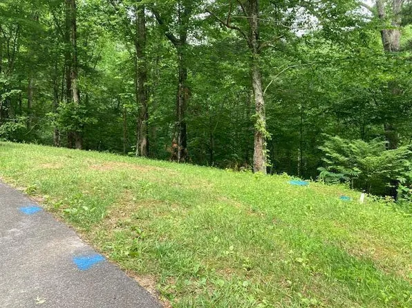 0 Laurel Rd, Townsend, TN 37882