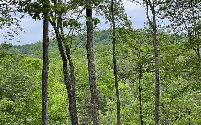 escape to blue ridge photos escape to blue ridge photos
