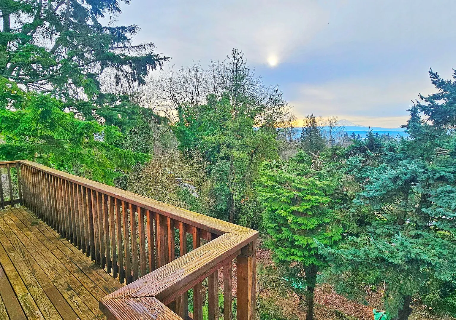 Charming 3 Bed 2.25 Bath Home in Skyway with a great view of Mt Rainier — Photo 3