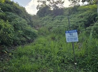 73 Estancia La Sierra, Aguas Buenas, PR 00703