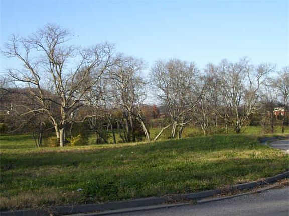 4th image of 107 Tattnall Ct Lot 239