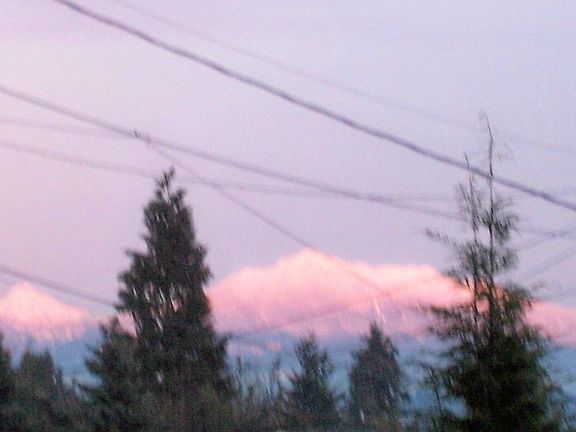 mt. view from front windows