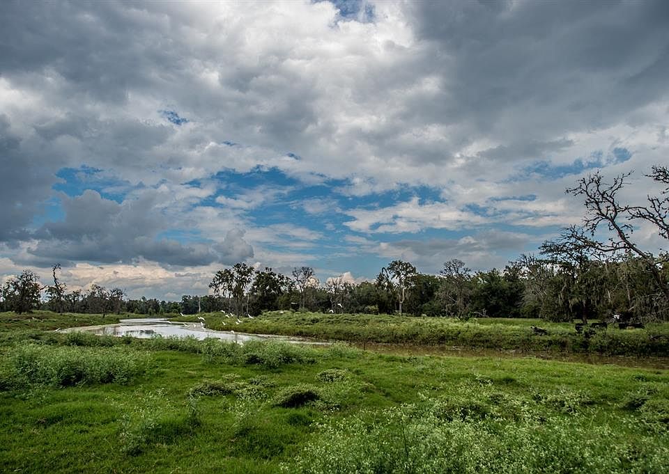 17082 Highway 36 S, Wallis, TX 77485 Zillow