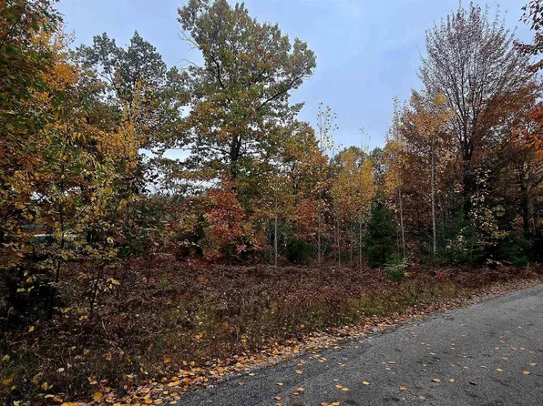 1915 Twin Birch Rd NE, Kalkaska, MI 49646