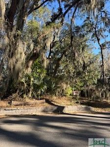 617 Wau Bun Dr, Savannah, GA, 31419
