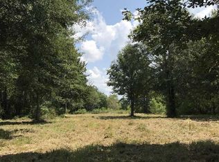 31886 Linder Rd, Denham Springs, LA 70726