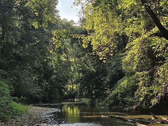 4th image of 853 County Road 608