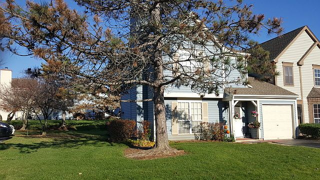 1st image of 5218 Willow Ct #5218