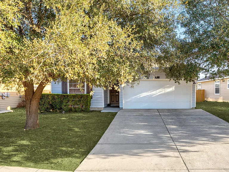 11720 Basil Grass — Photo 15