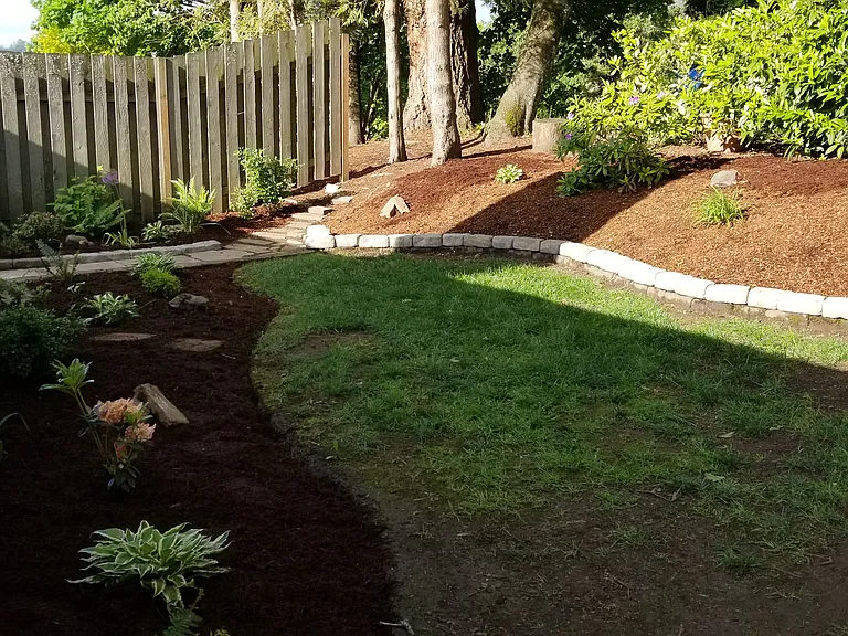 Back yard