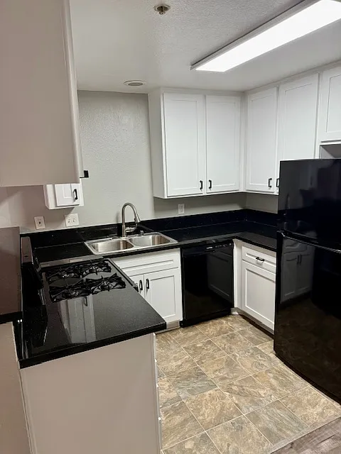 2 bed, 740 sqft, $2,600 — Photo 2