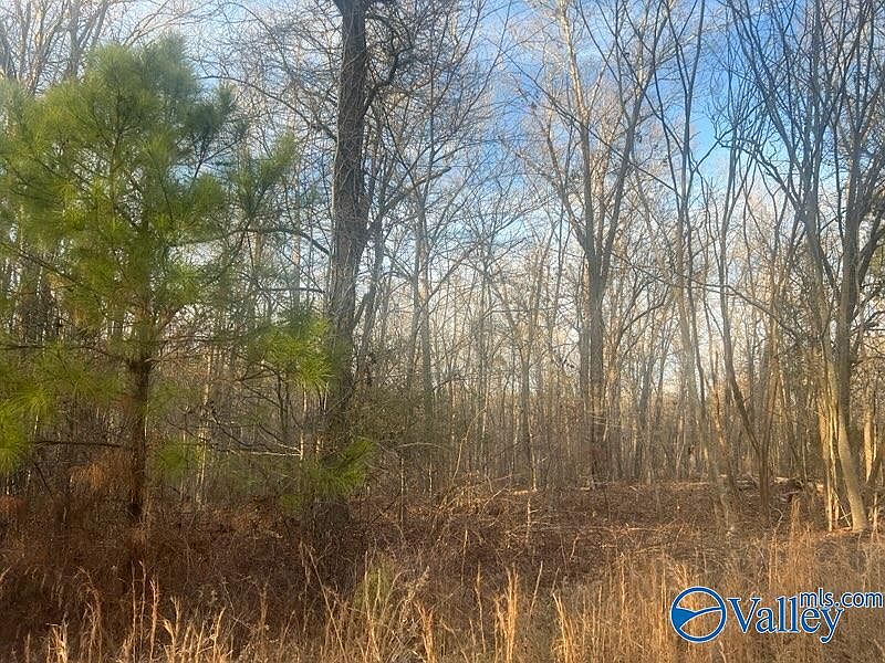 1st image of 3/ACRE S County Road 137