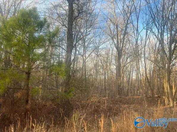 3/ACRE S County Road 137, Cedar Bluff, AL 35959