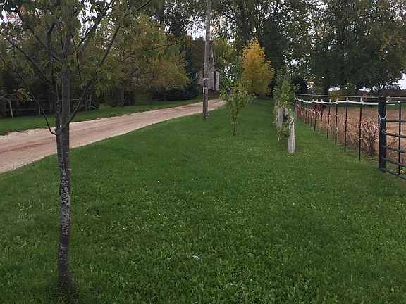 Fence/tree-lined driveway