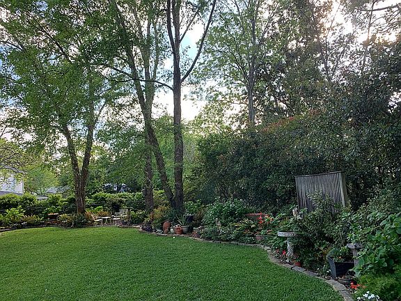 Dog friendly Back Yard