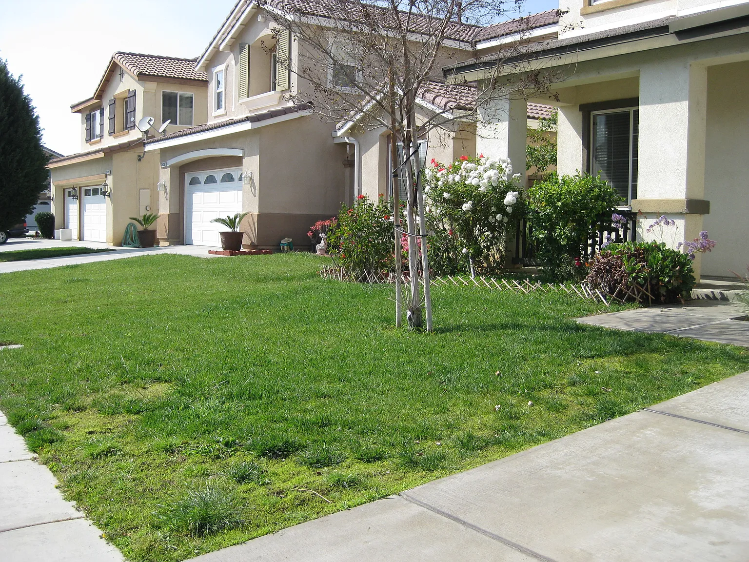 5 bed, 2724 sqft, $3,475 — Photo 2