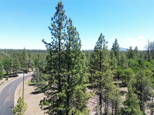 0 Shoshoni Loop, Fall River Mills, CA 96028