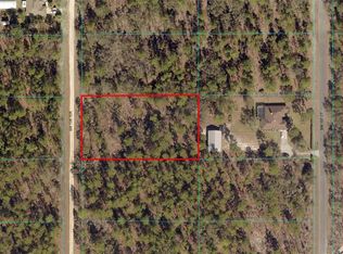 SW 138th Ter LOT 9, Dunnellon, FL 34432