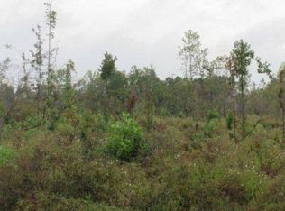 1517 Highway 348, Blue Springs, MS 38828